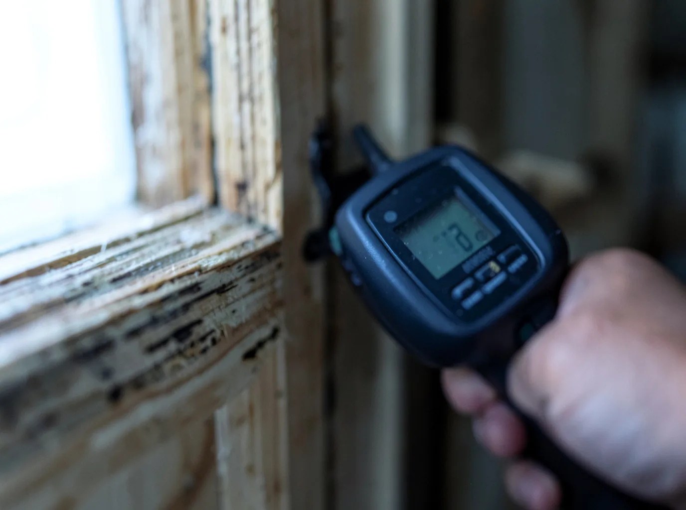 Moisture Inspection And Documentation in Branchport, NY